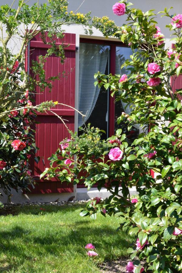 Le Tertre Gatinais * Saint-Briac-sur-Mer